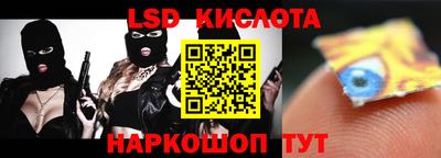 тгк Новодвинск