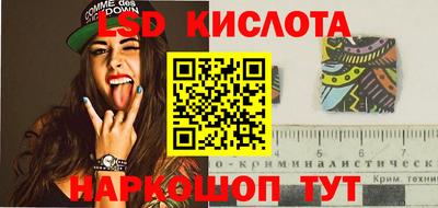 тгк Новодвинск