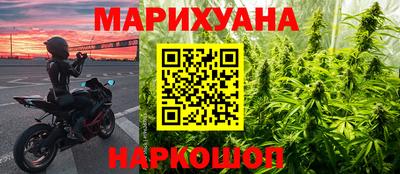 тгк Новодвинск