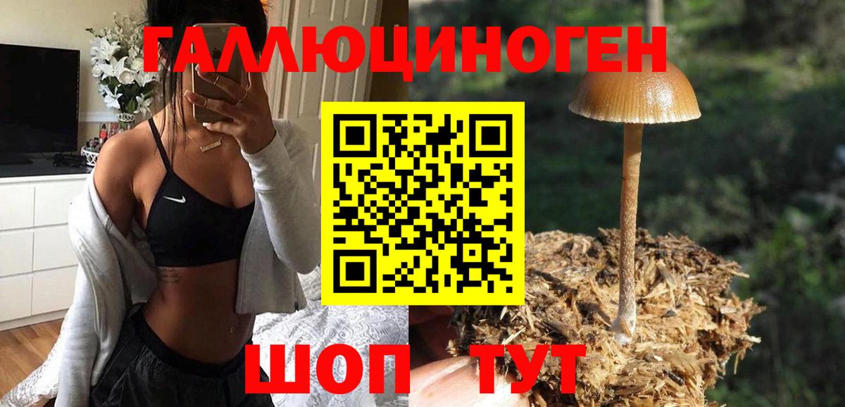 Псилоцибиновые грибы мицелий  Псилоцибиновые грибы ЛСД  Протвино  Вход с VPN 