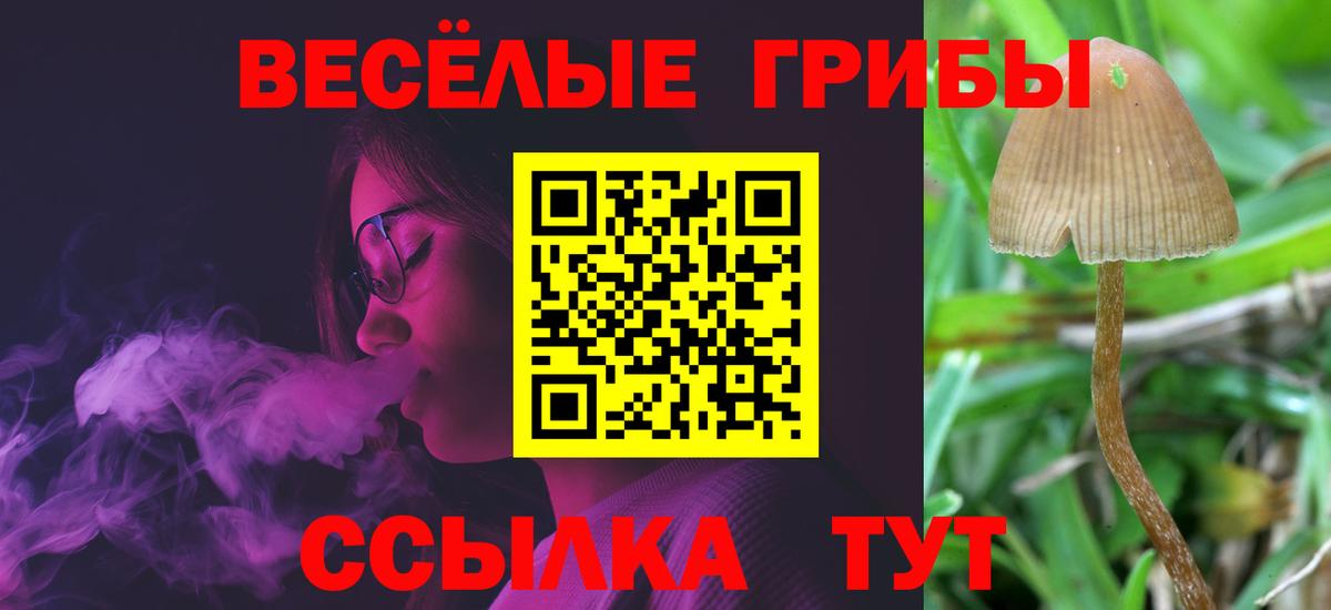 Галлюциногенные грибы Magic Shrooms Протвино